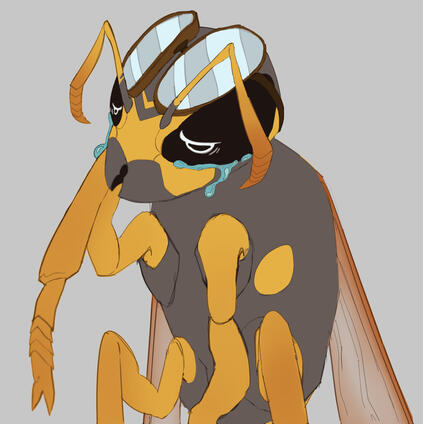 Polistes V1