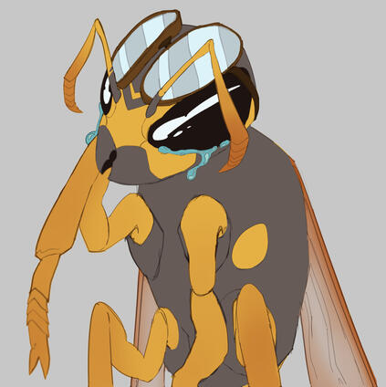 Polistes V2